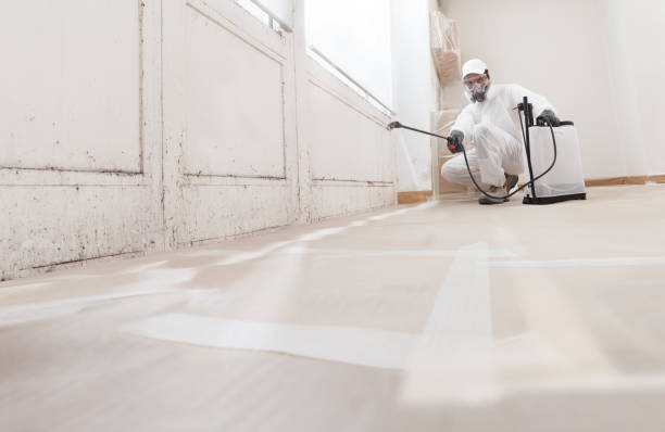 24/7 Emergency Mold Removal experts in Chandler, AZ